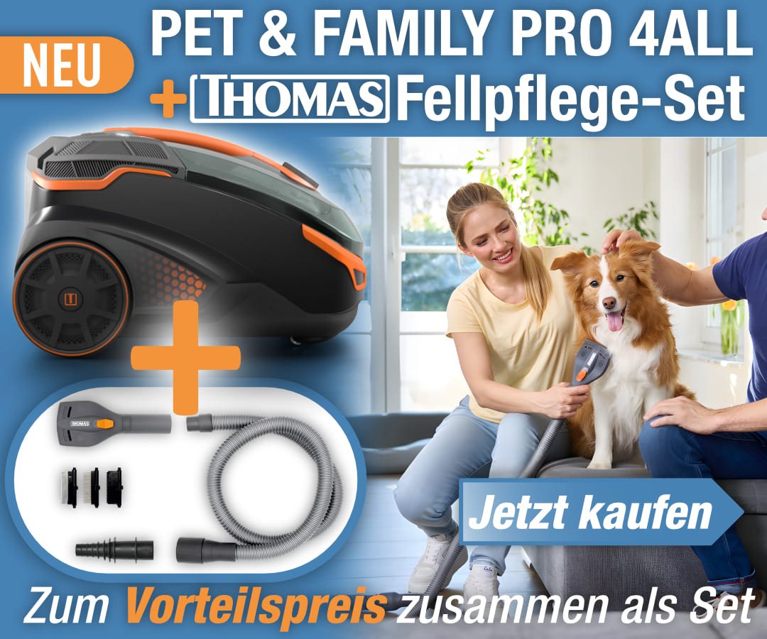 Tier, Hund, Säugetier, Haustier, 