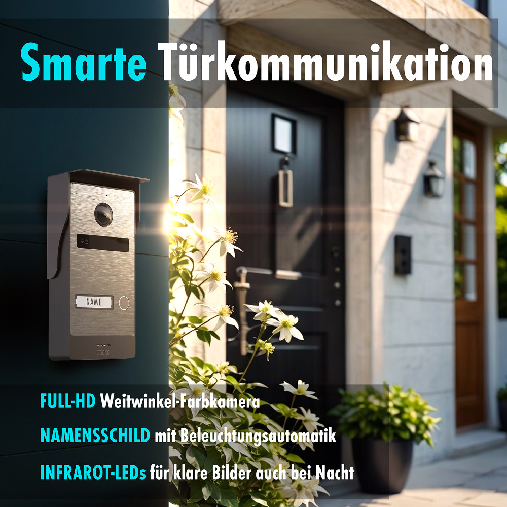 Pflanze, Pflanze im Topf, 