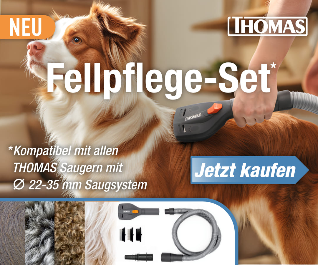 Tier, Hund, Säugetier, Haustier, 